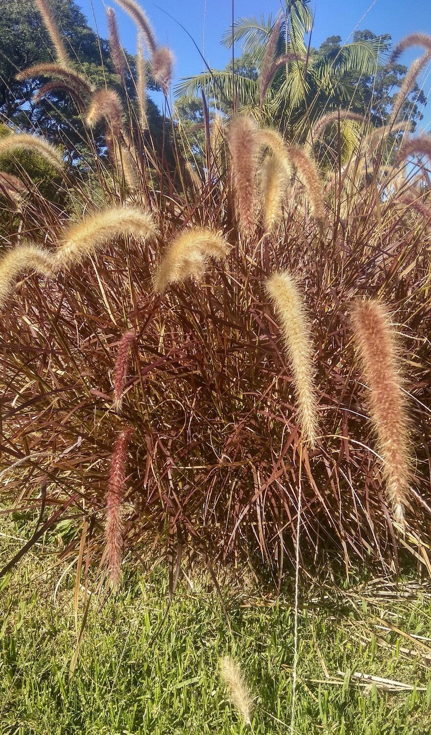 Otoño