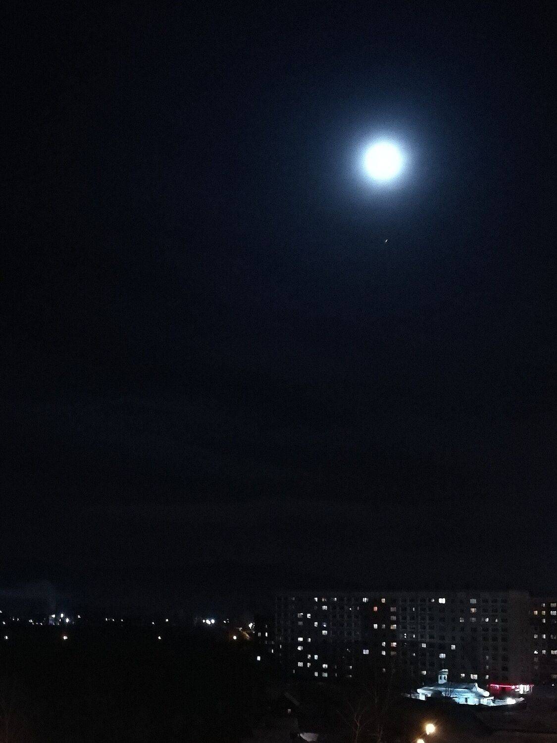Photo #3164432