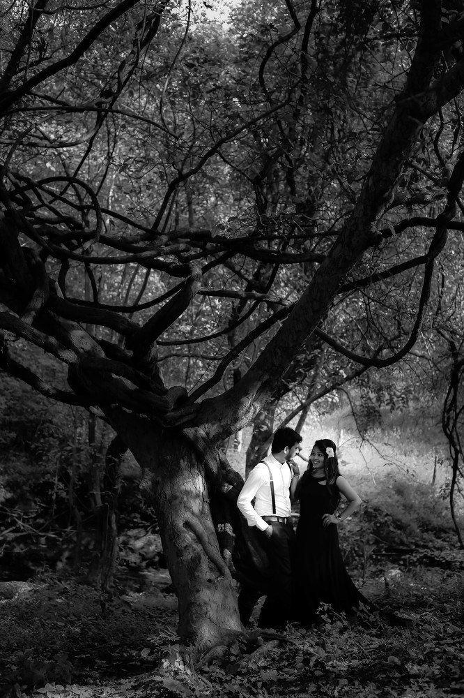 Photograph by vivek kakadiya