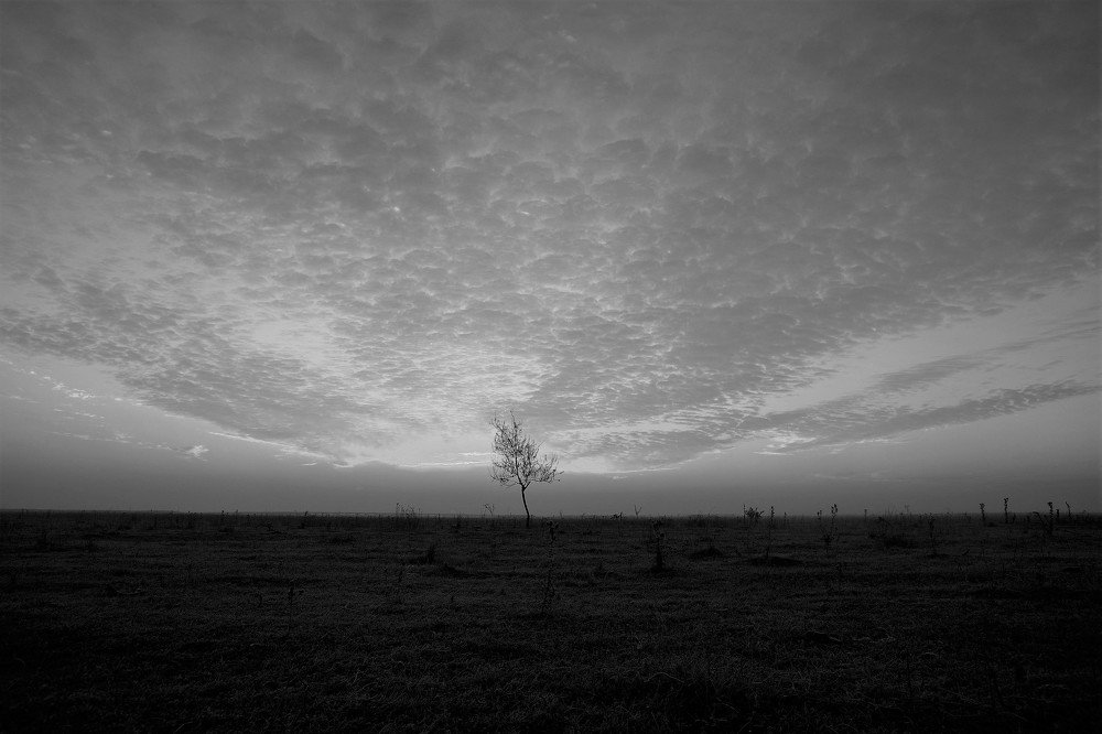 Photograph by Юрий Дыхлин