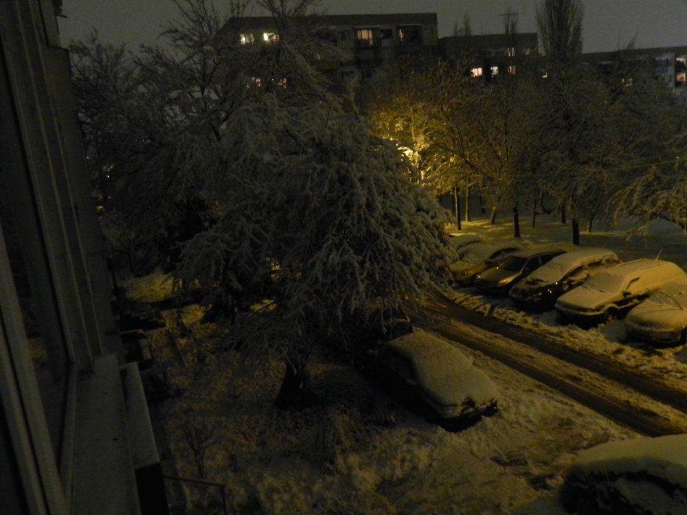 Photograph by mahmoud shihabi moni