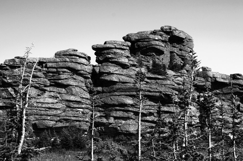 Шерегеш, Верблюды