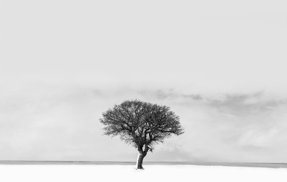 Photograph by fares Moghadam