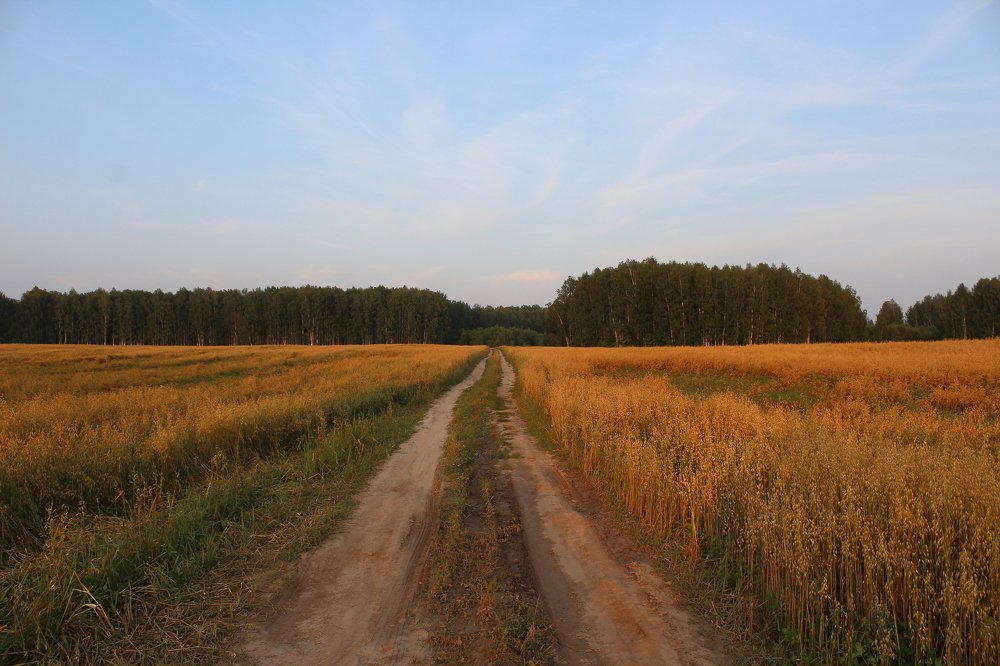 Предзакатные часы