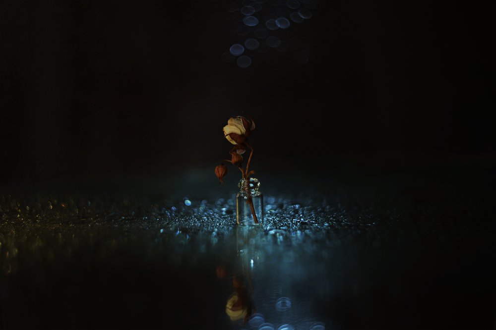 Photograph by Наталья Лещинская