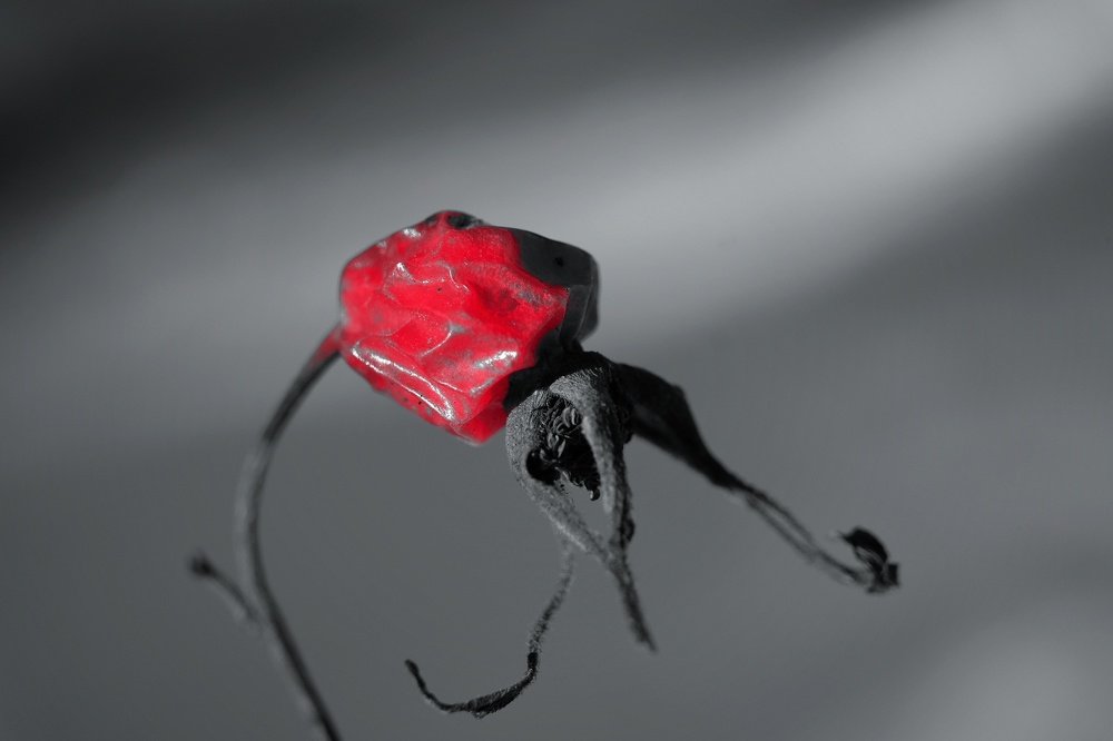 Бессмертие