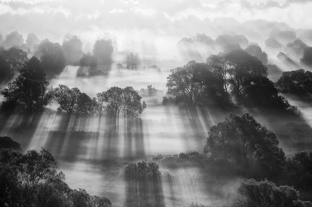 Солнечный туман.