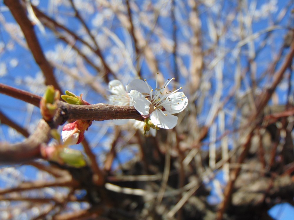 Photograph by Юлия