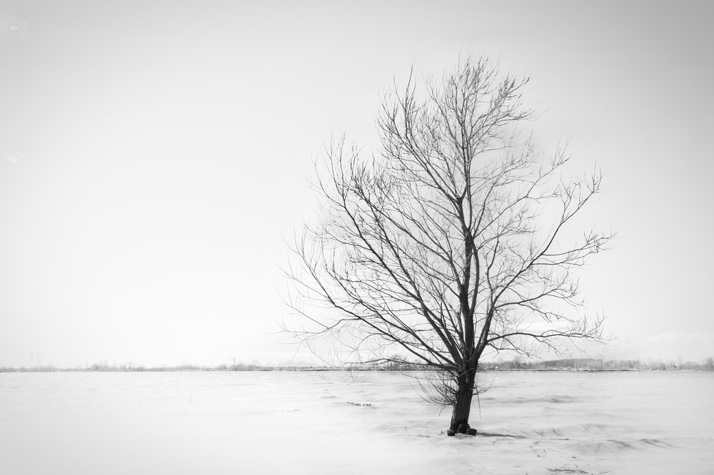 Photograph by Eric Dupuis