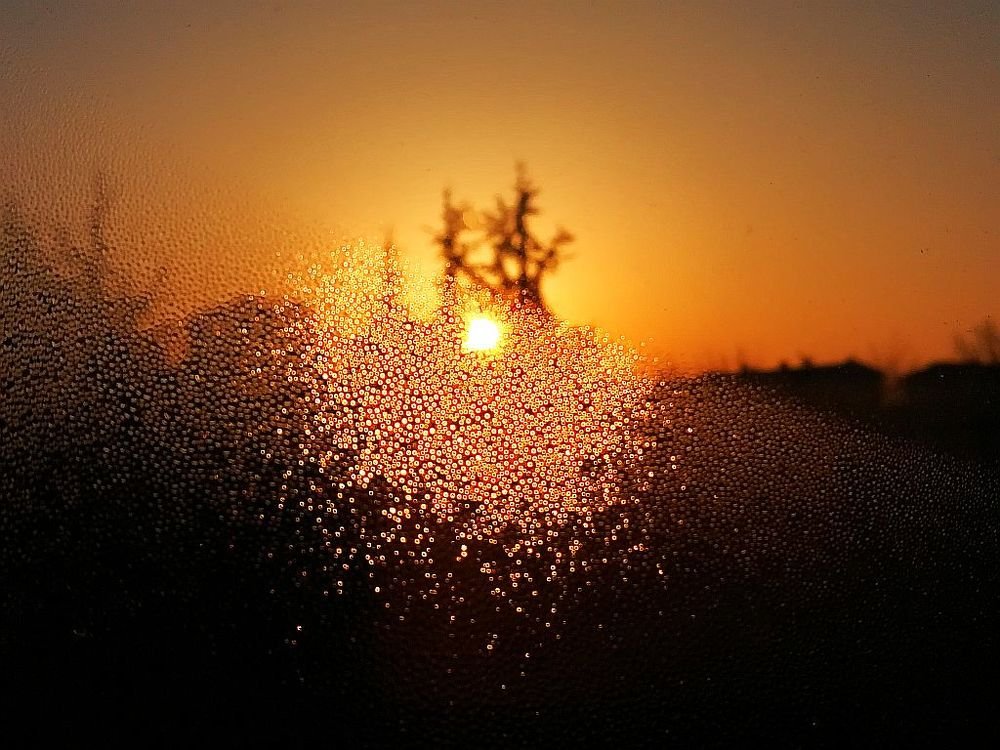 sunrise at my window