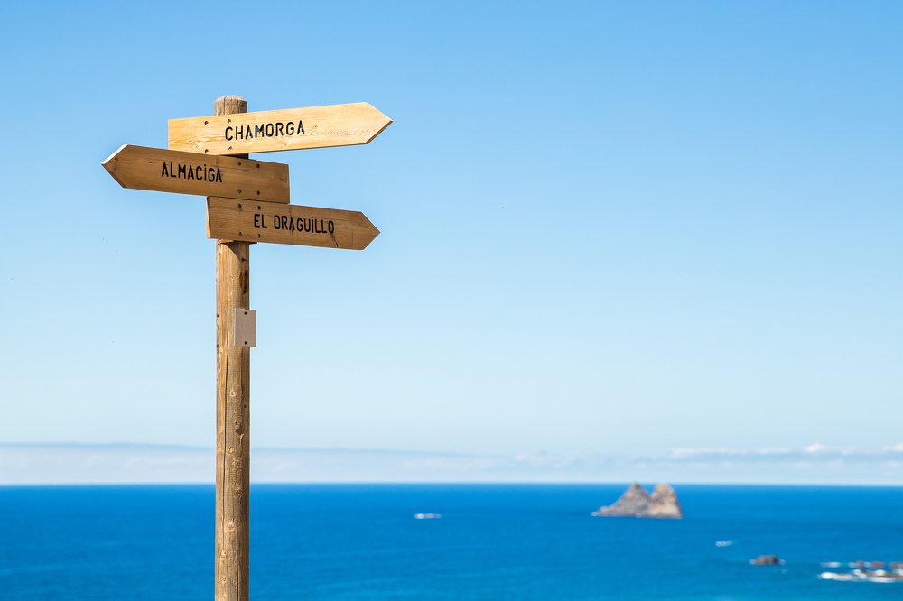 Фотография автора Гудкова Светлана