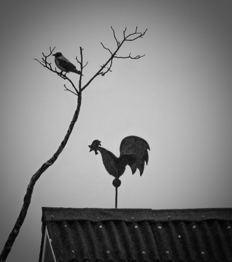 Photo #3165547
