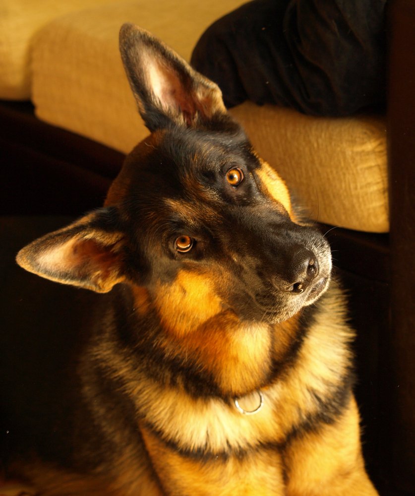 Photo #3165581