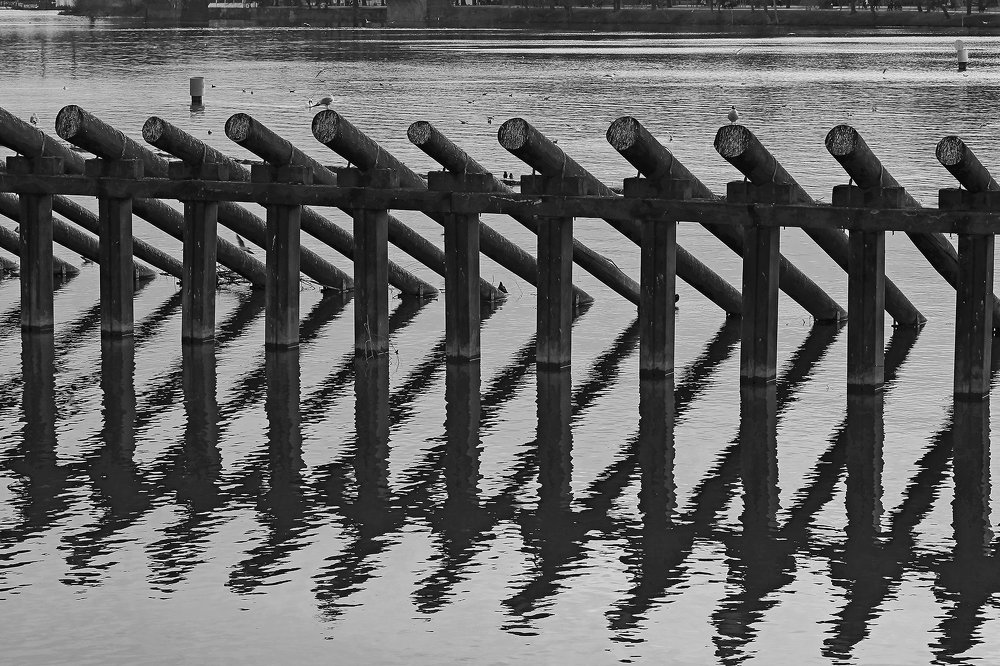 Видимость гармонии