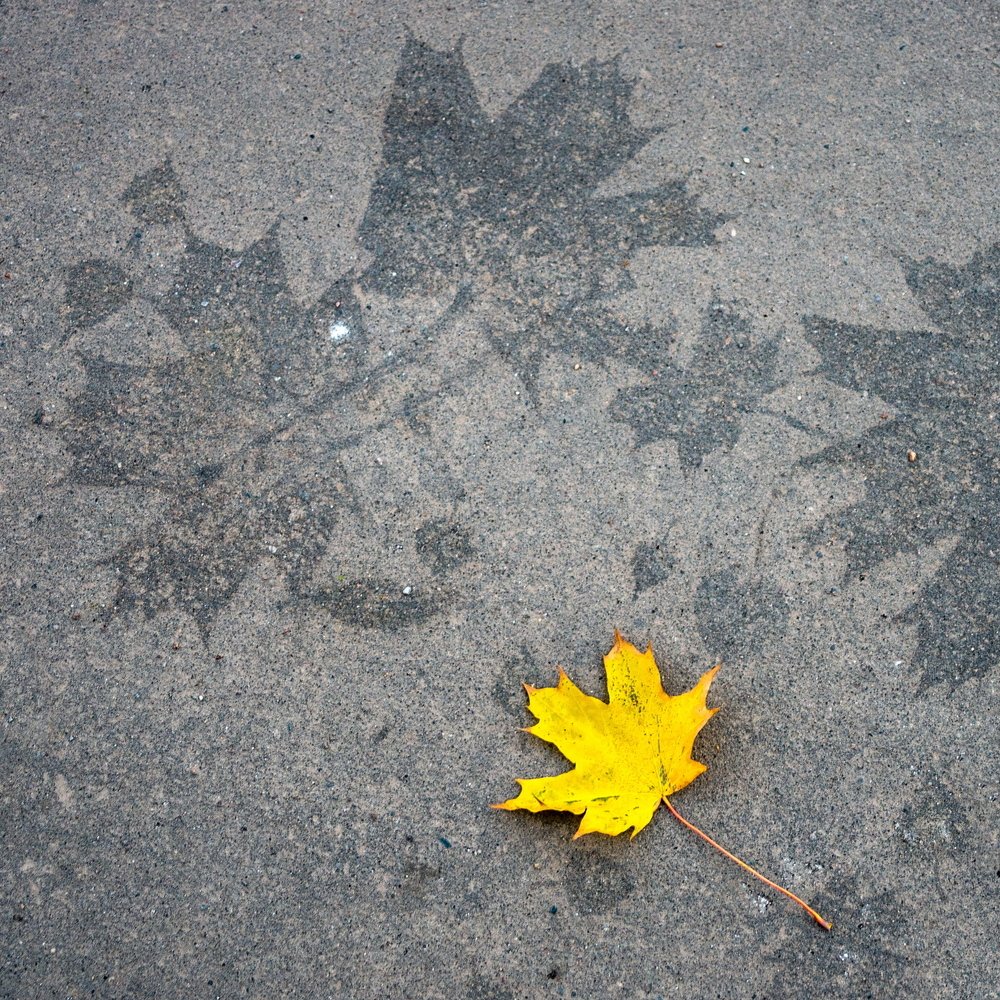 Осенняя аппликация.
