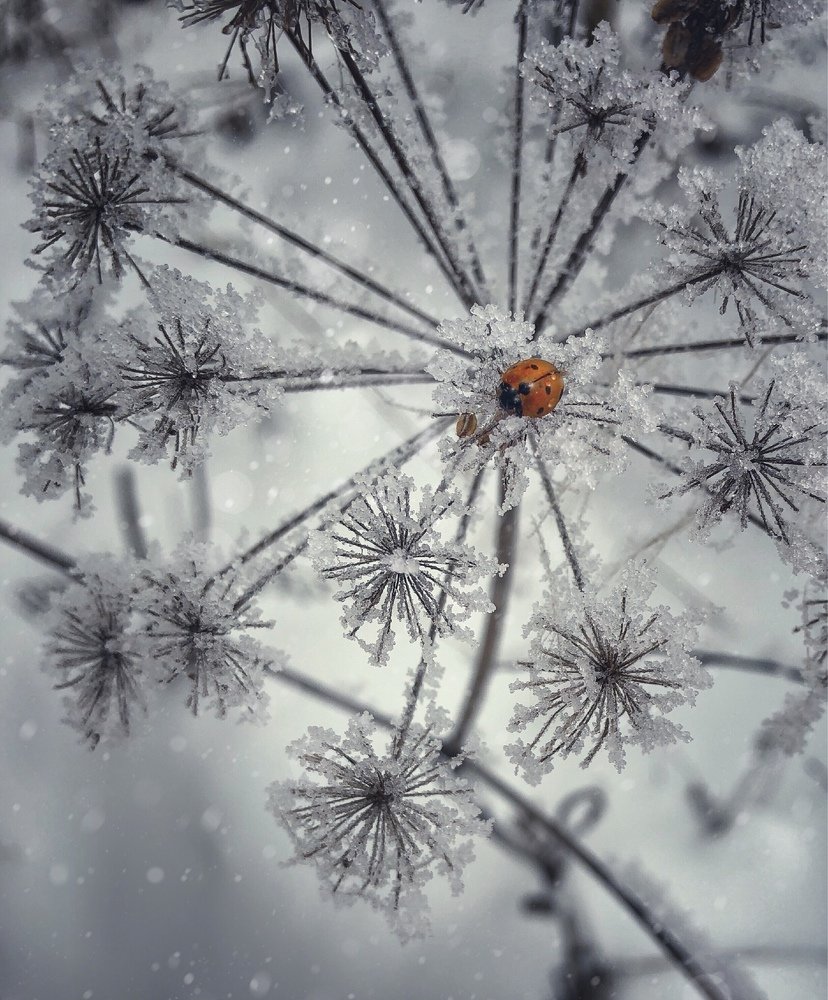 Коротко об Урале!