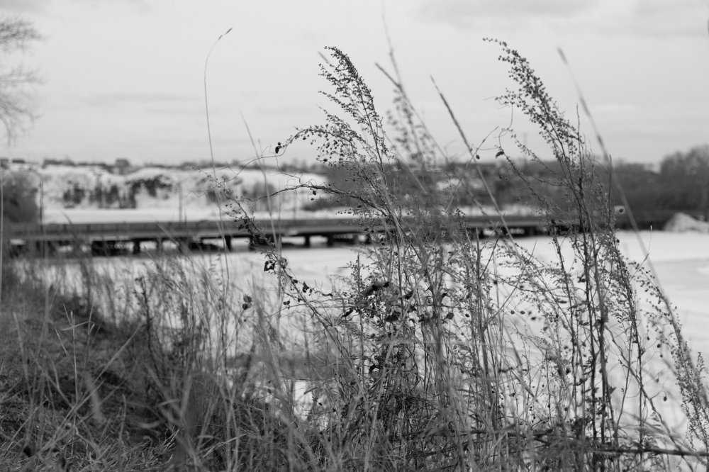 Photograph by Роман Сычев