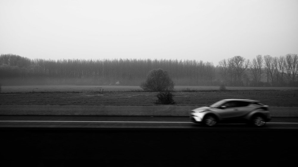 Французские поля