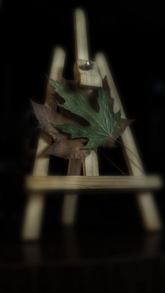 автор природа