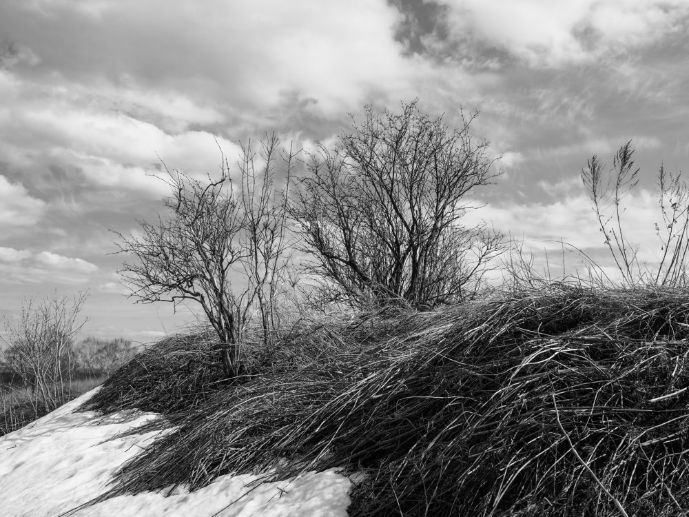 Апрель в окрестностях Ярославля.