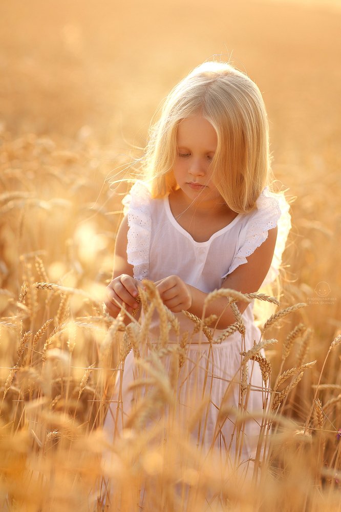 Photograph by Дудко Ирина