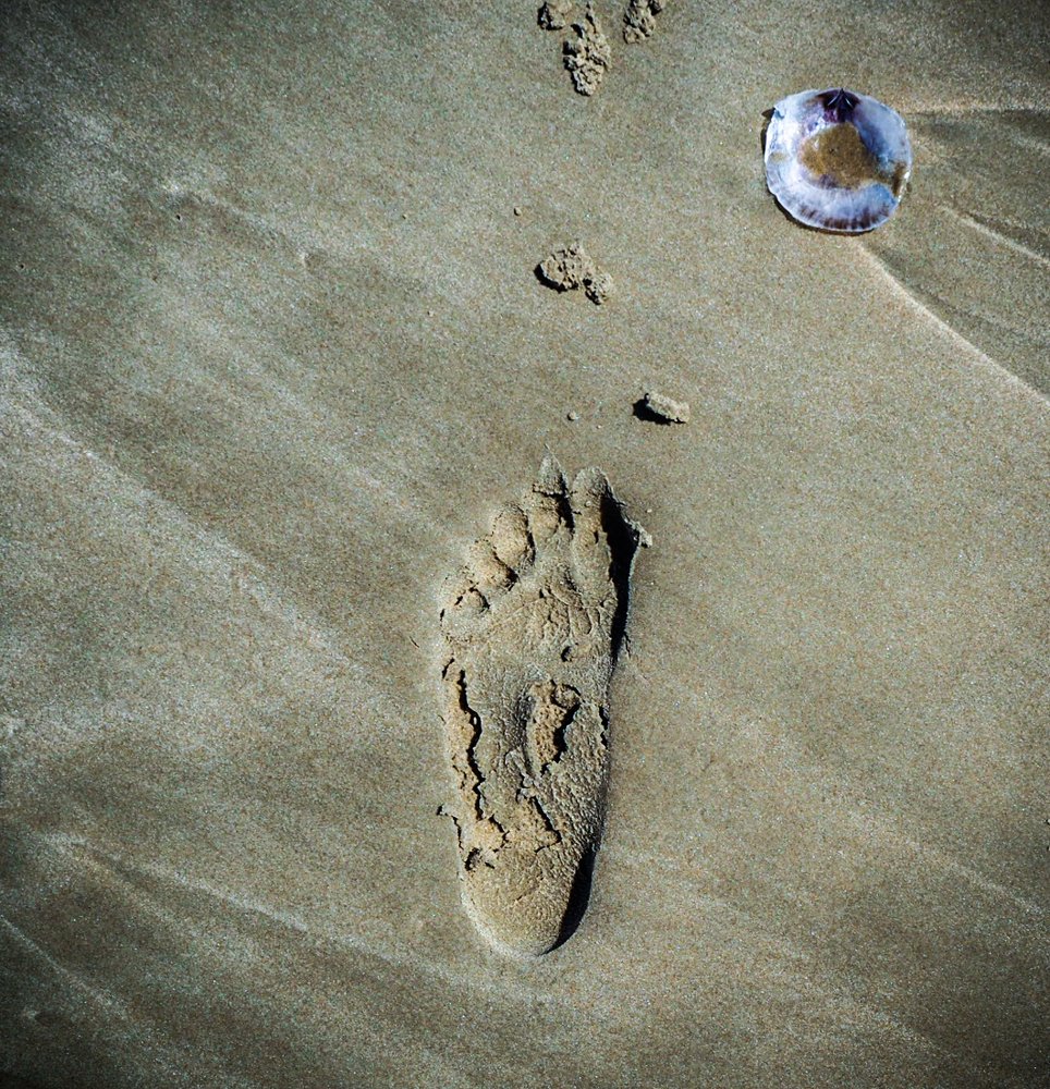 Здесь ступала нога человека