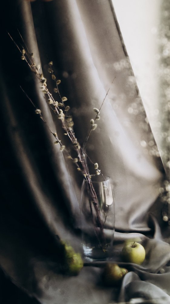 Солнечные зайчики