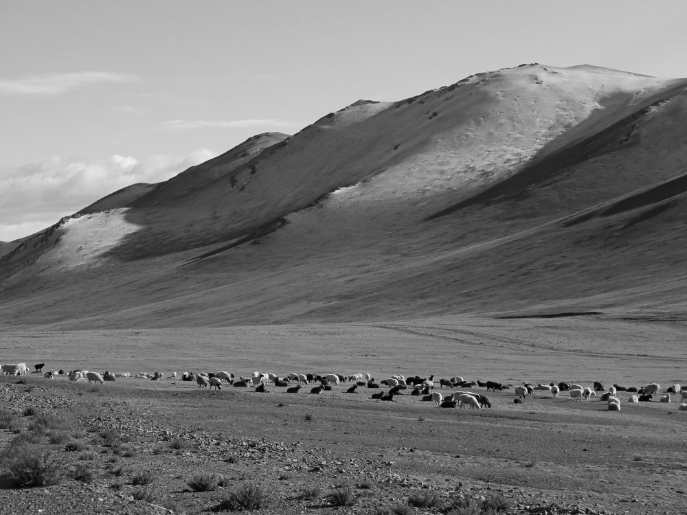 Photograph by Анастасия