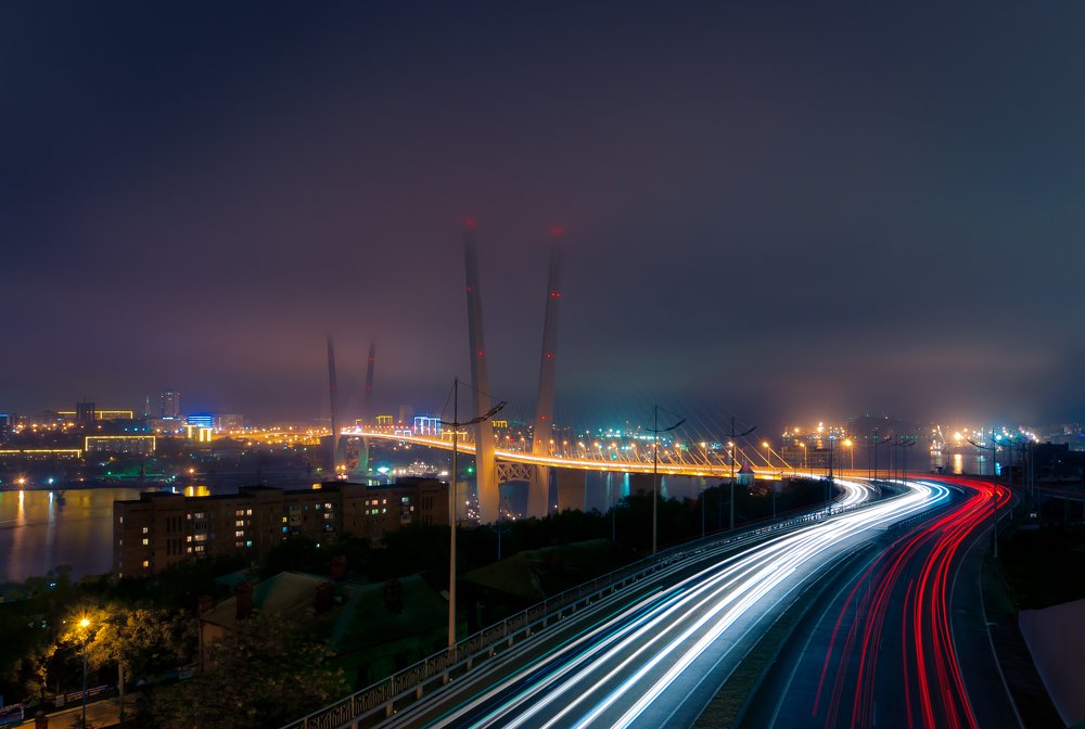 В свете тумана