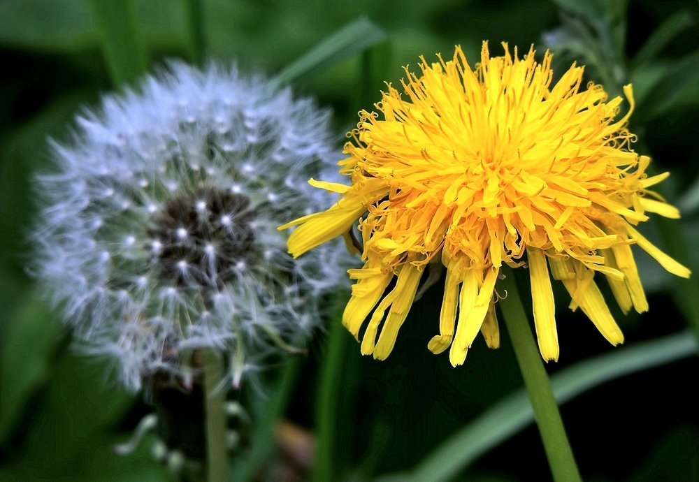 И снова о жизни