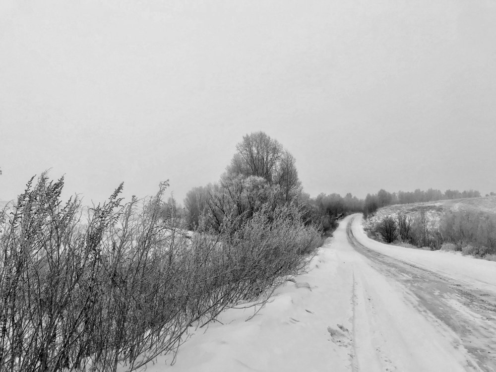 Photograph by Сергей Рудницкий