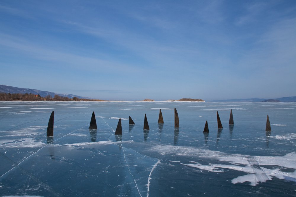 #свободукосаткам #свободубелухам