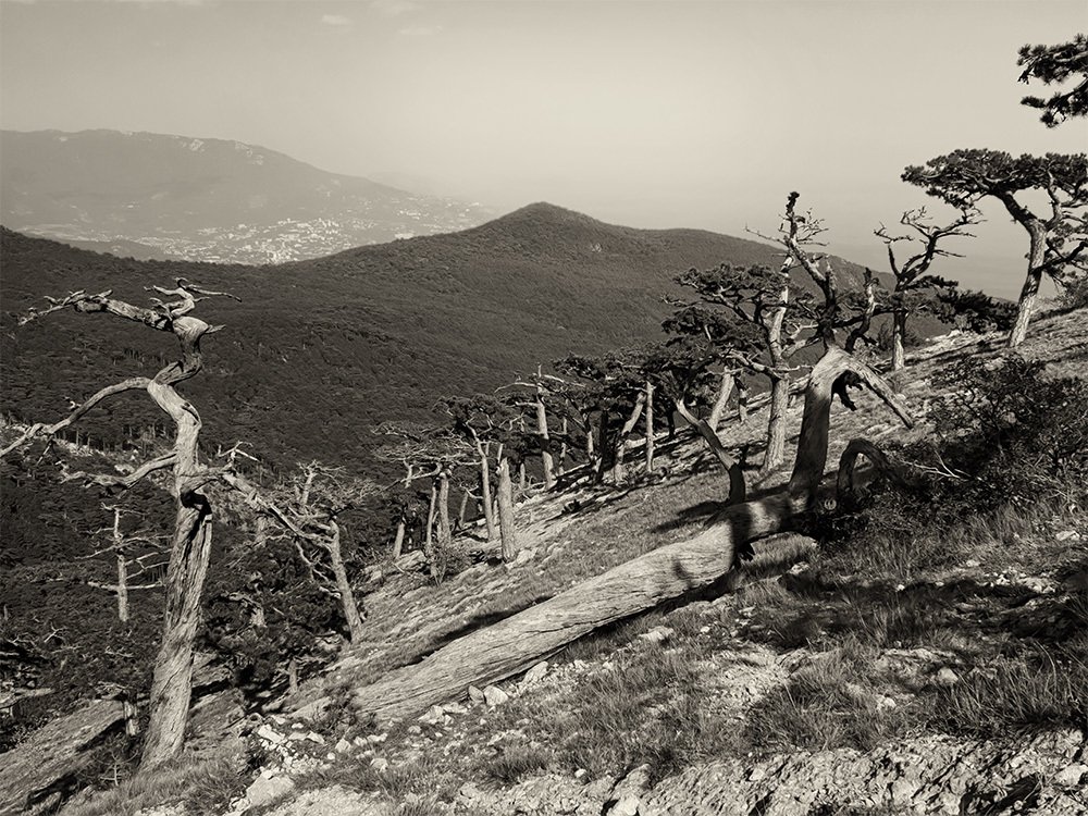 Трудное восхождение