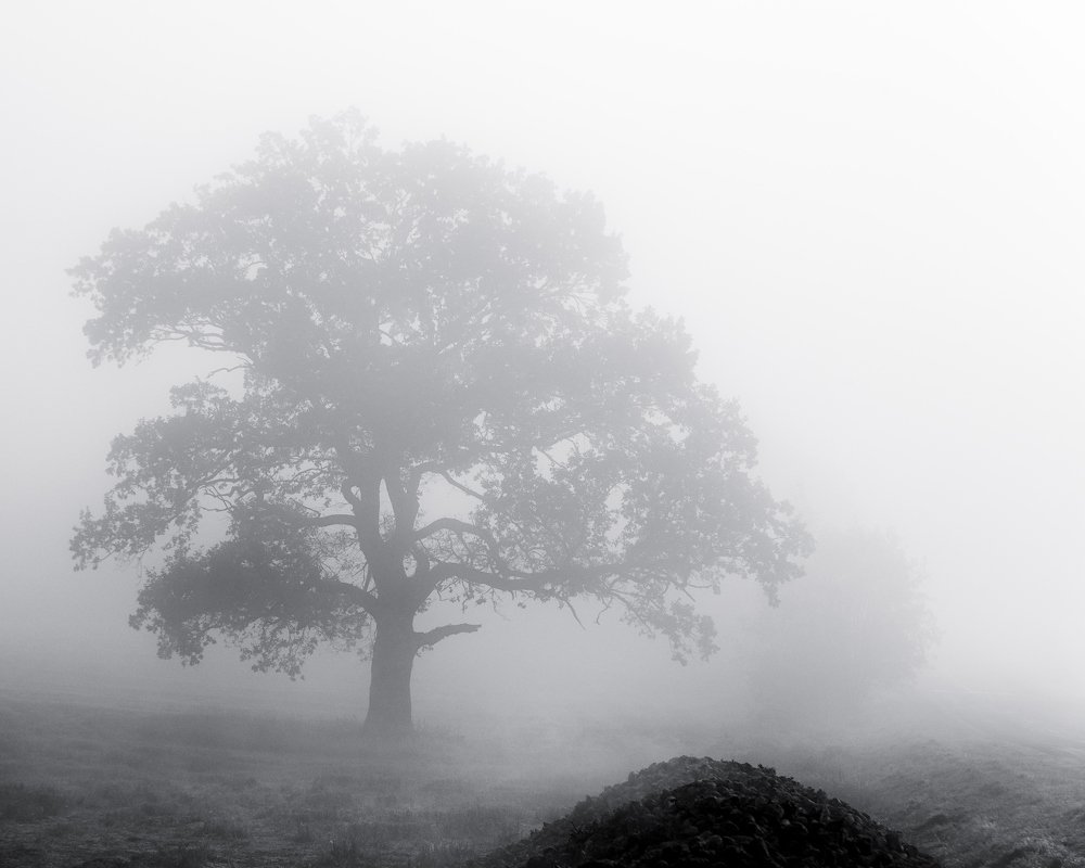 Photograph by Ольга Максимова