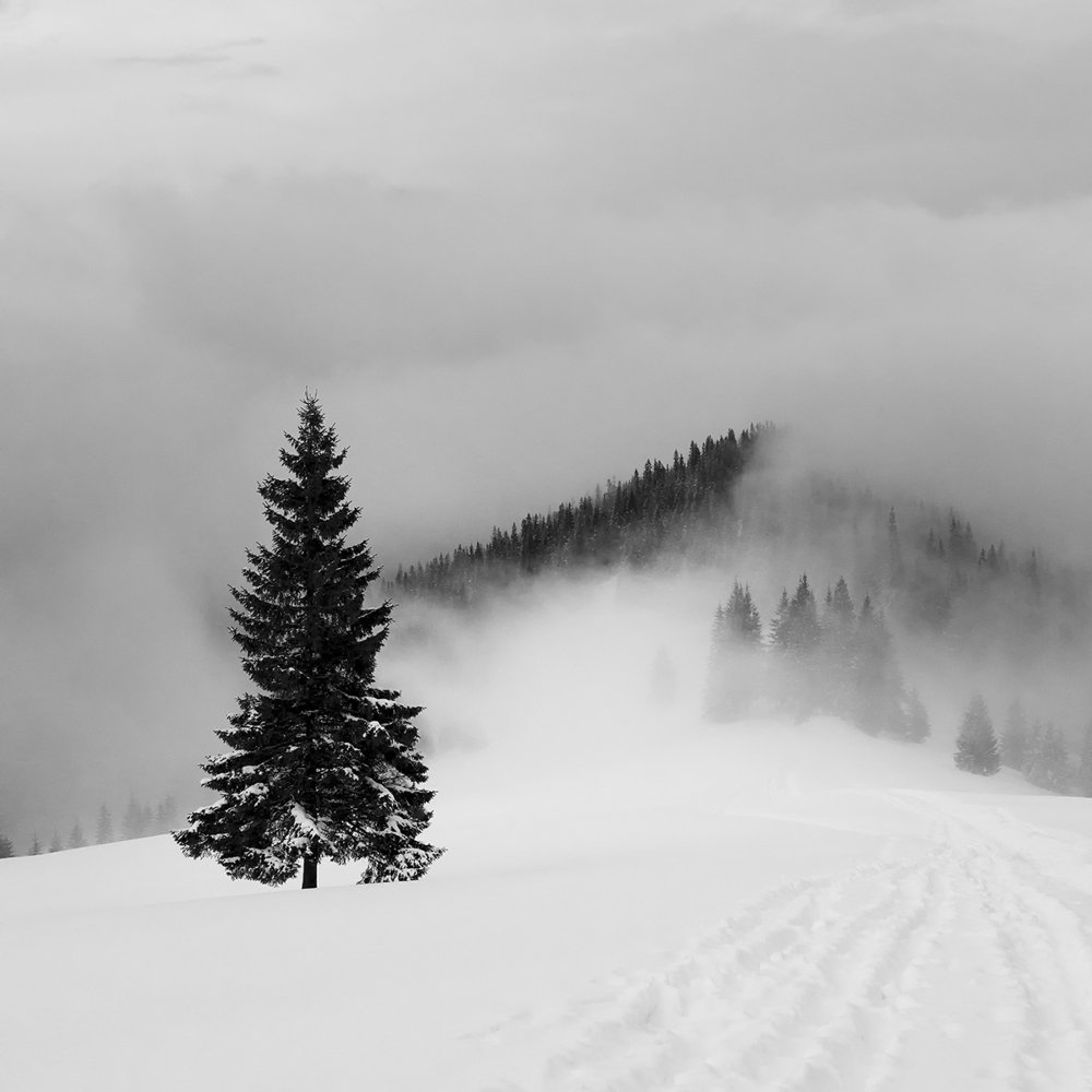 Фотография автора Василий Рябовол