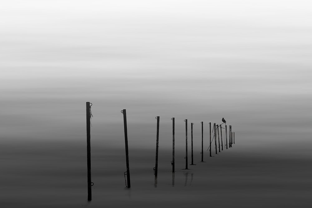 Photograph by Shirinamini