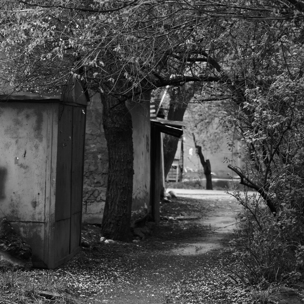 В нашем дворе