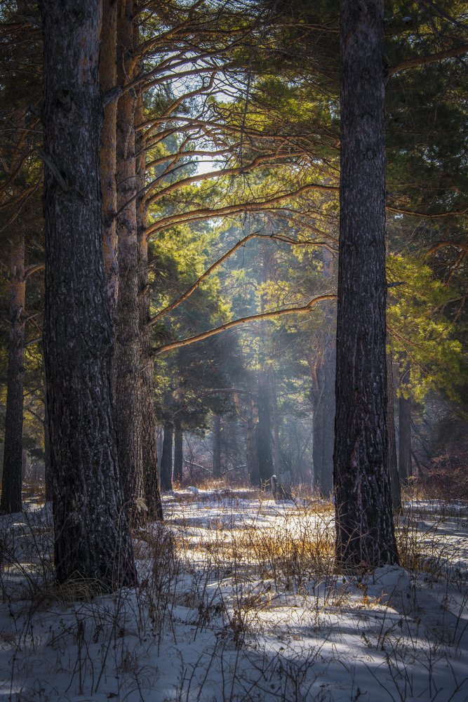 утренняя дымка