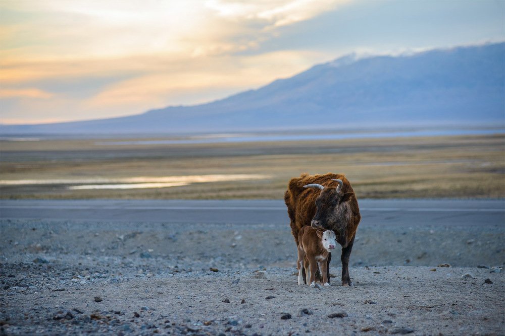 После рождения