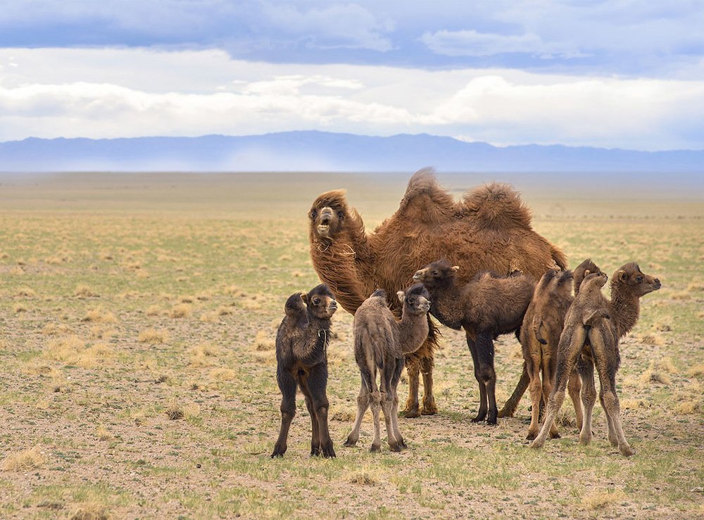 Детский сад