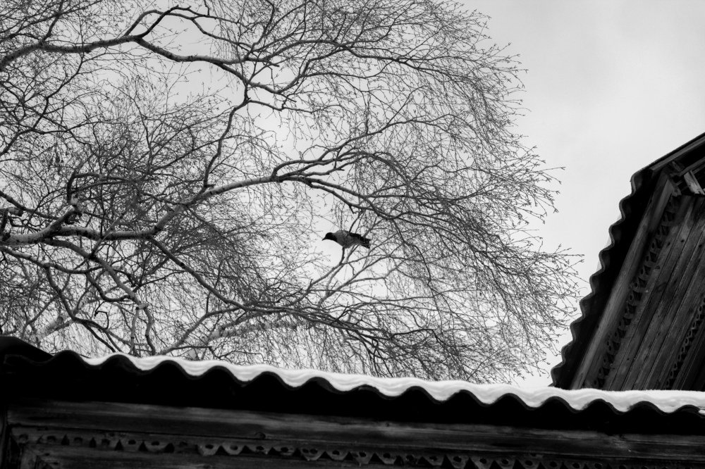 Городской пейзаж