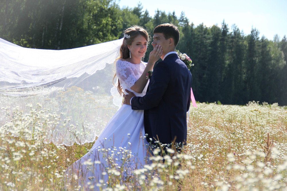 Преданные чувства