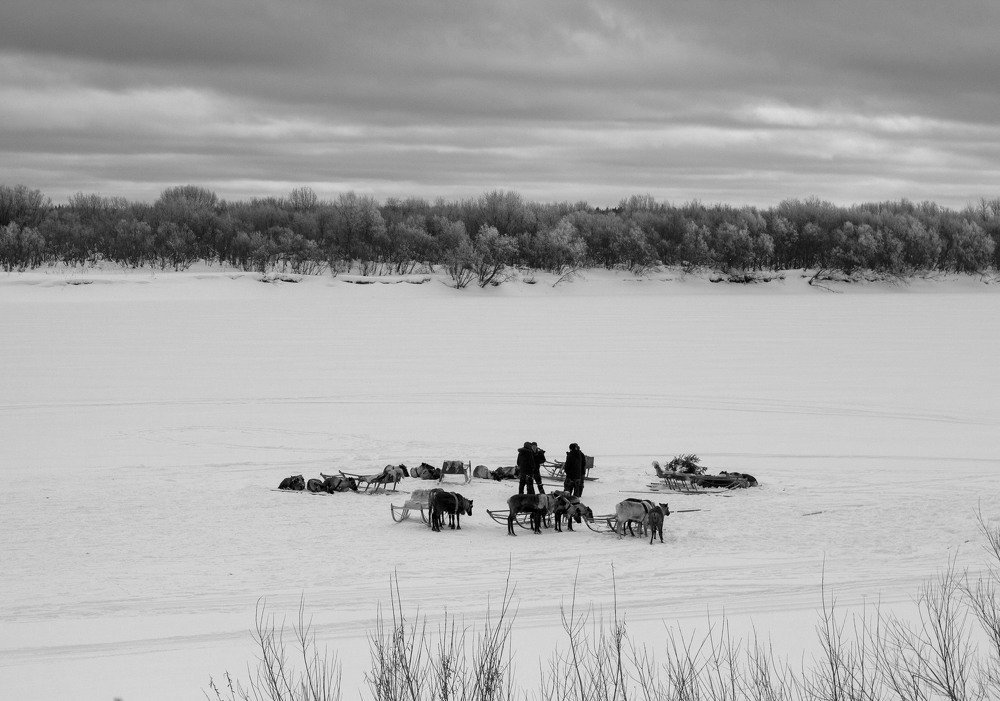 Русский Север