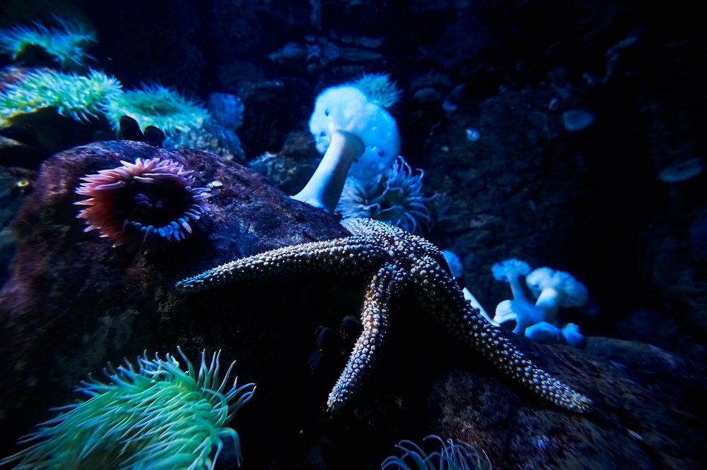 С желанием прыгнуть в бездну