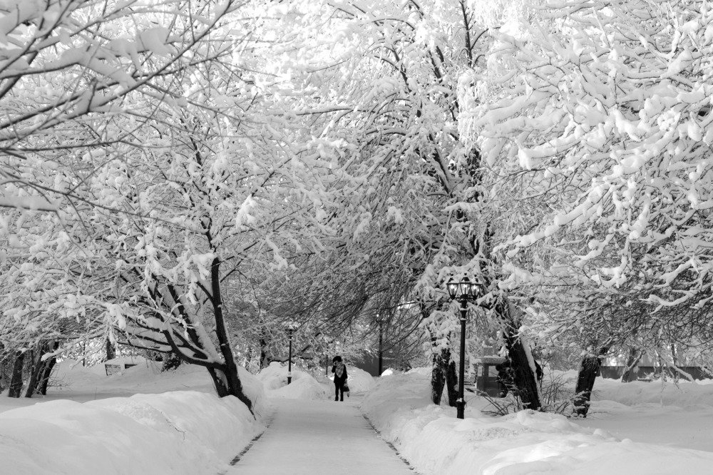 Зимним днем