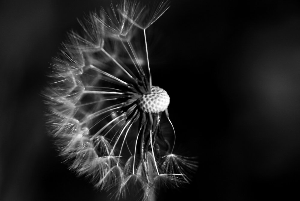 Half full or half empty?