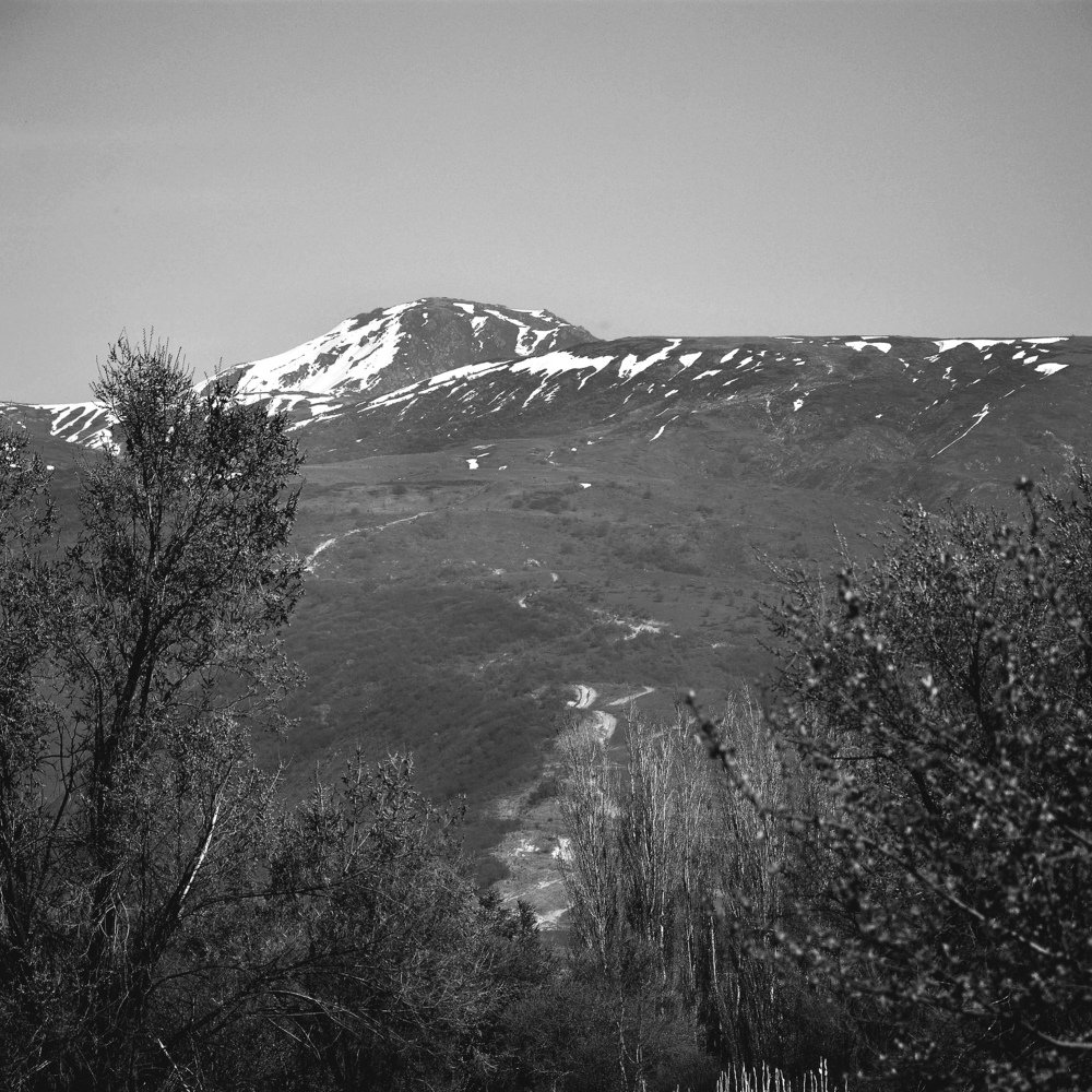 Photograph by Виктория Лоевская