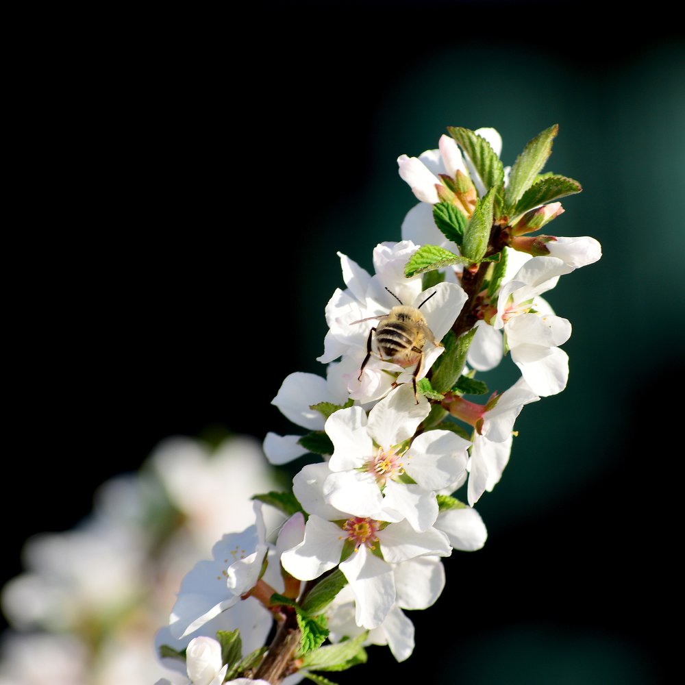 Photograph by Виктория Лоевская