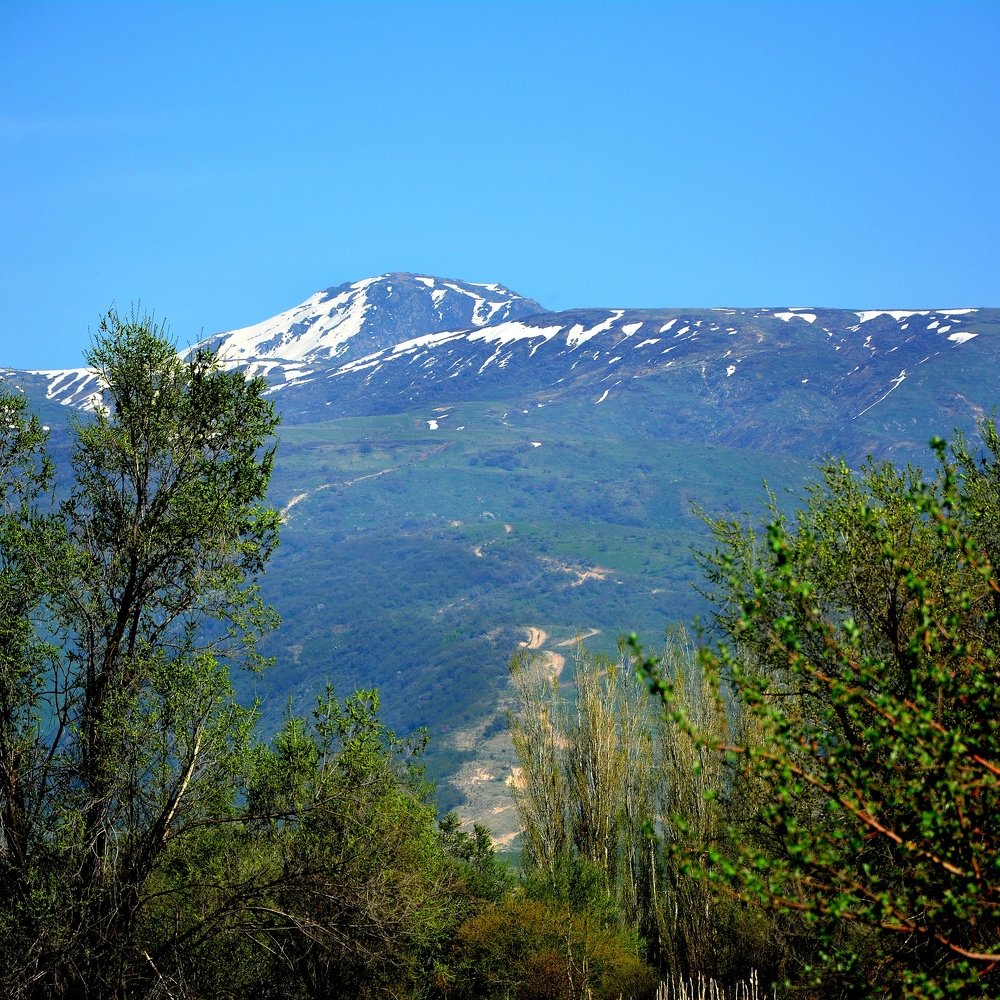 Photograph by Виктория Лоевская