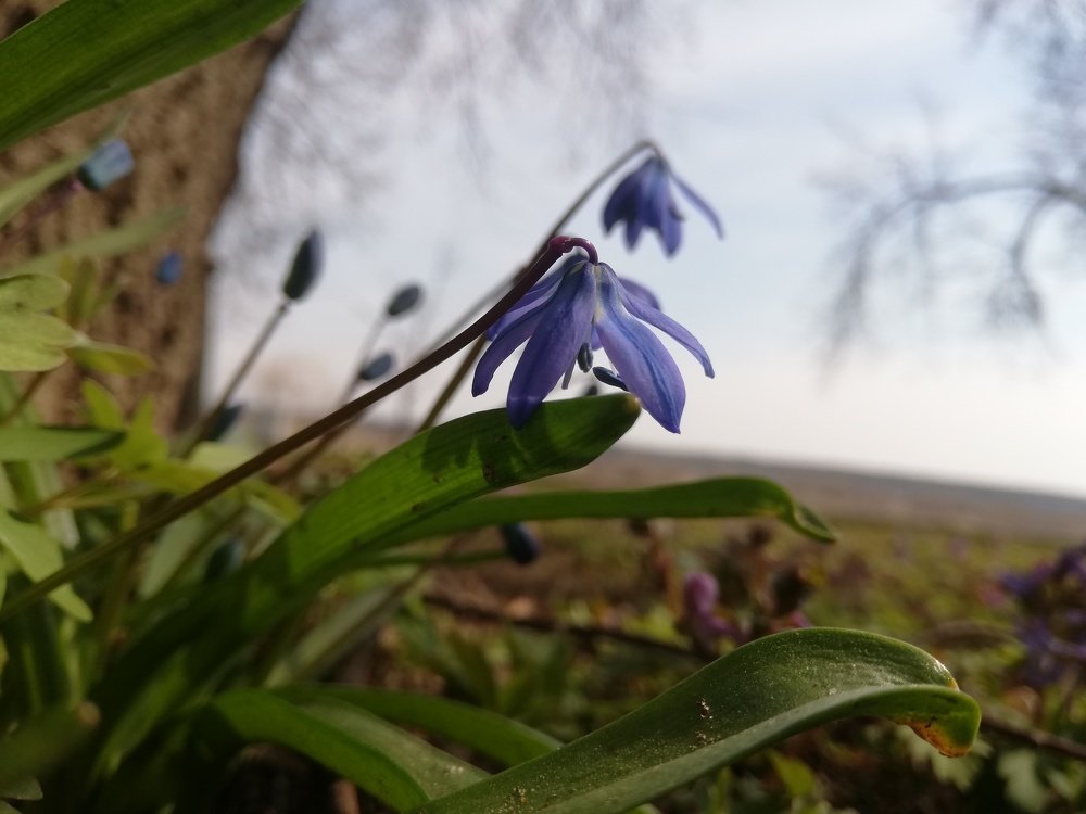 Photograph by Ирина Севрюкова